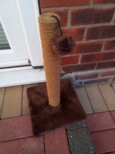 Photo of free Cat scratching post (Rush Green CO15) #2
