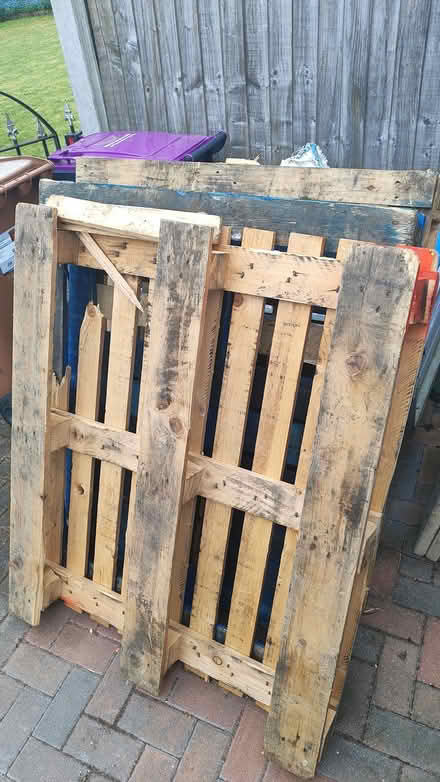 Photo of free 3 Wooden pallets (one broken) (Puckeridge SG11) #2
