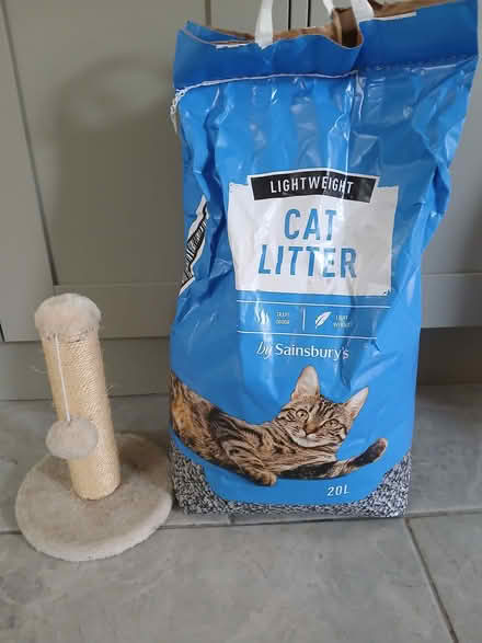 Photo of free Cat Litter and Scratch Post (Kemsing TN15) #1