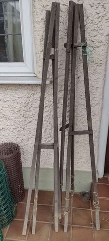 Photo of free 4 x supports for climbing plants (Boscombe BH5) #1
