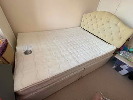Photo of free Cream divan double bed (Hextable BR8) #1