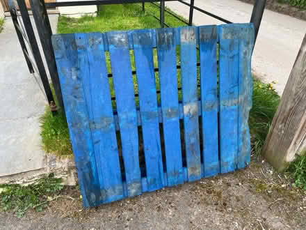 Photo of free Pallet (Wellow) #1