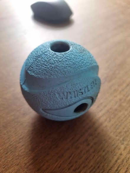 Photo of free Whistler Chuckit ball (Coldean BN1) #1