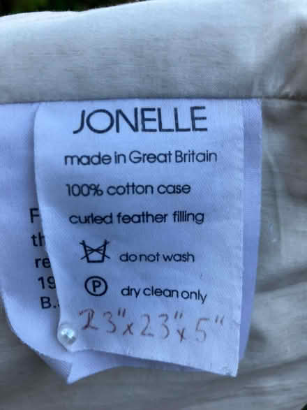 Photo of free Big cushion (Woodstock OX20) #2