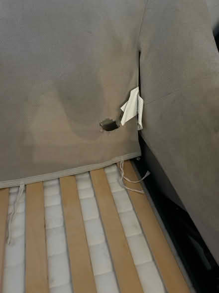 Photo of free Sofa bed (Warminster) #3