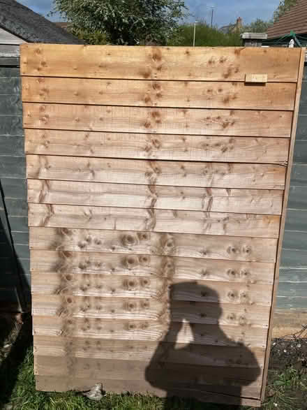 Photo of free Shed Panel (Hardwicke Green GL2) #1