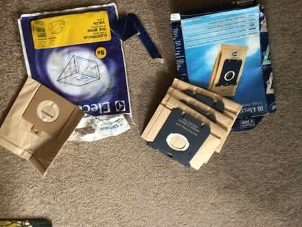 Photo of free Hooverbags (Storrington RH20) #3