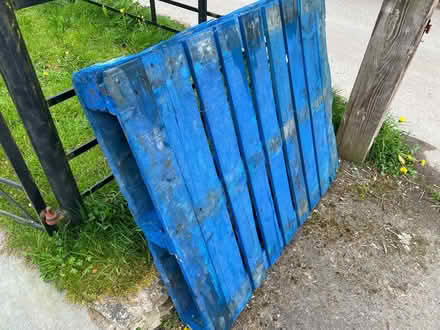 Photo of free Pallet (Wellow) #2