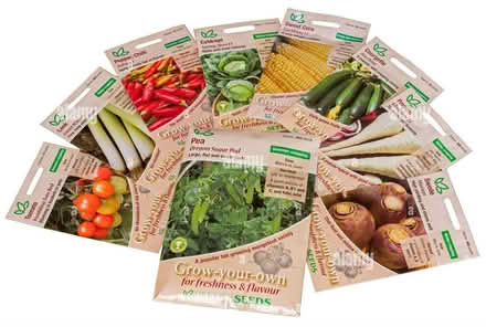 Photo of Expired or excess seeds (Whitemoor NG8) #1