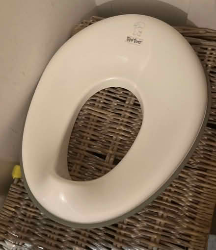 Photo of free Potty and toilet seat (Tuckingmill SP3) #1