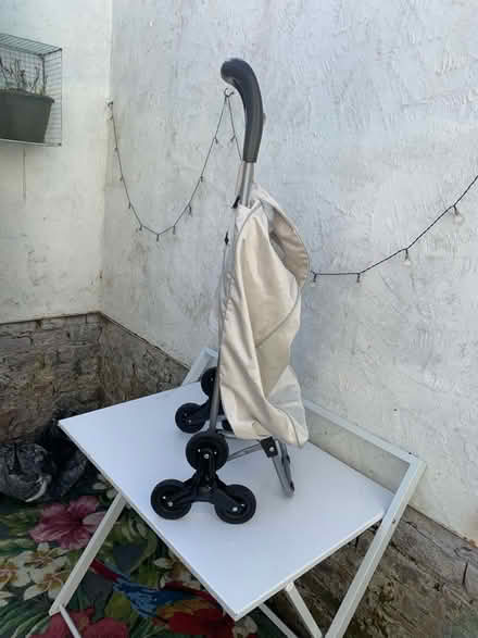 Photo of free Small shopping trolley (Egremont CH44) #3