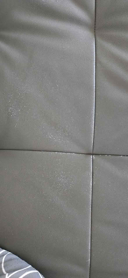 Photo of free Sectional sofa righ chaise (SW Cape Coral , Rosegarden) #3