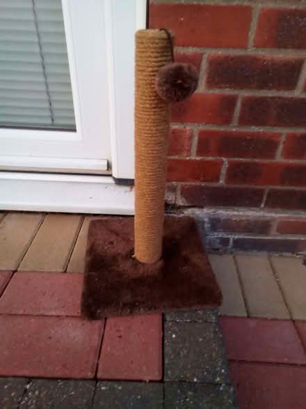 Photo of free Cat scratching post (Rush Green CO15) #1
