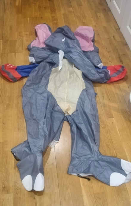 Photo of free Elephant costume (London, SE3) #1