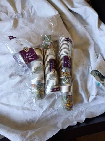 Photo of free Hot Cups (Birdland) #1