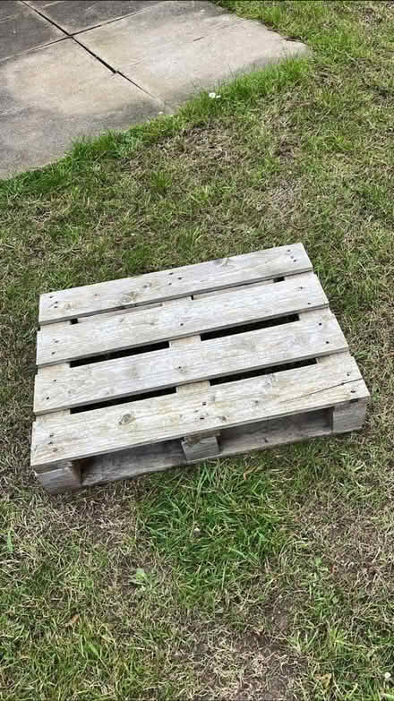 Photo of free Small Pallet (College Town GU47) #1
