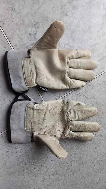 Photo of free Kid's gardening gloves (Craigie PH2) #2