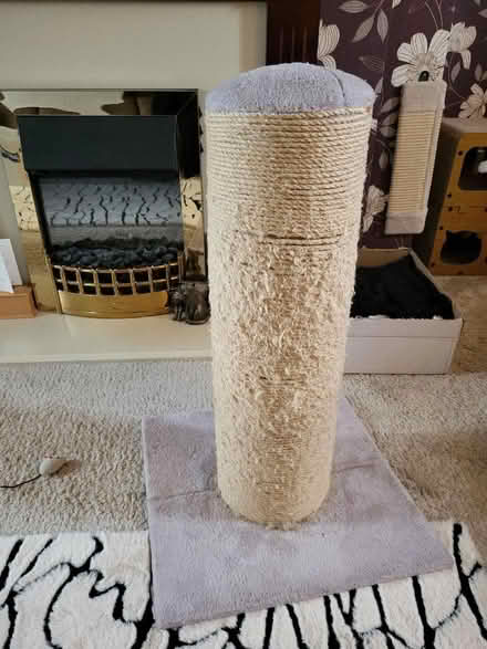 Photo of free Large cat scratching post and cat tower (Long Sutton PE12) #2