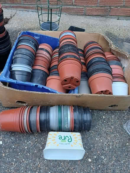 Photo of free New growing season! Medium and small size plant pots (Bromham MK43) #2