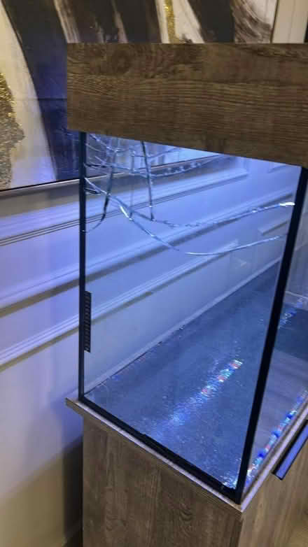 Photo of Fish tank (Little lever BL3) #1