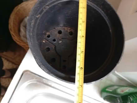 Photo of free 20 X 6 1/2 inch plant pots (Buxworth SK23) #2