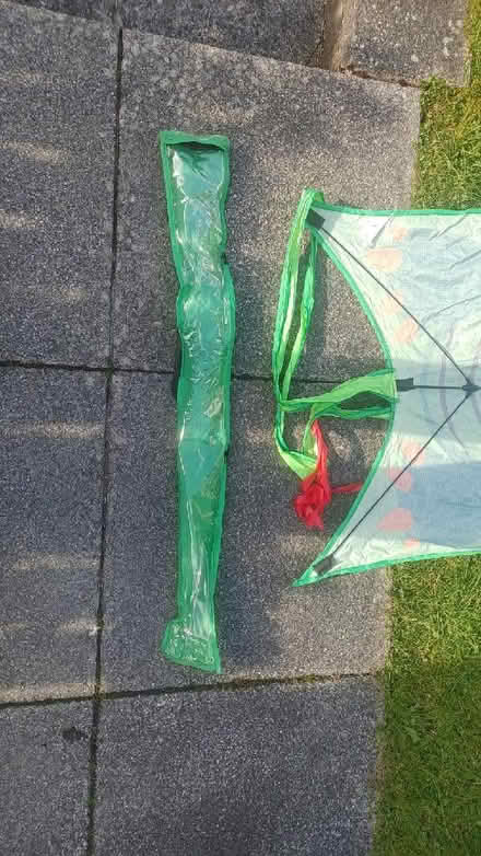 Photo of free Kid's dragon kite (Craigie PH2) #3