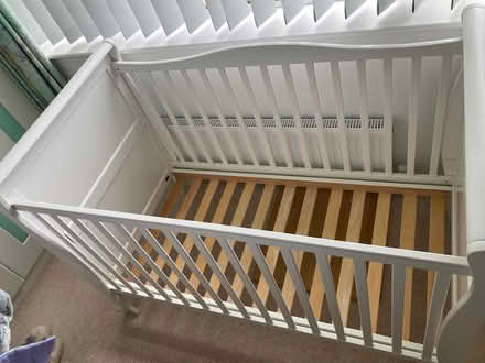 Photo of free Wood cot bed (Chichester city centre) #2