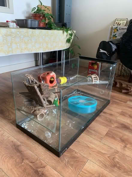 Photo of free Glass terrarium/Hamster cage + toys (Wf17) #1