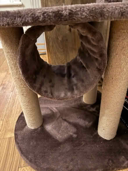 Photo of free Tall cat tree (Heaton, NE6) #3