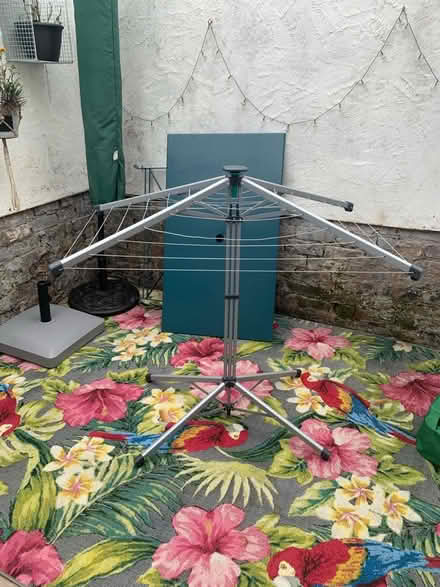 Photo of free Clothesline outdoor. (Egremont CH44) #3