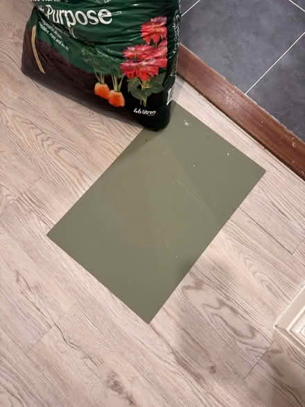 Photo of free Green cat food Matt (Hackney Downs E5) #1