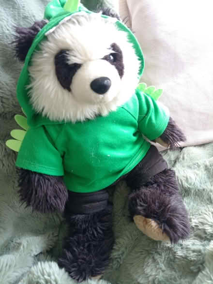 Photo of free Build a bear (Caldy Valley CH3) #1