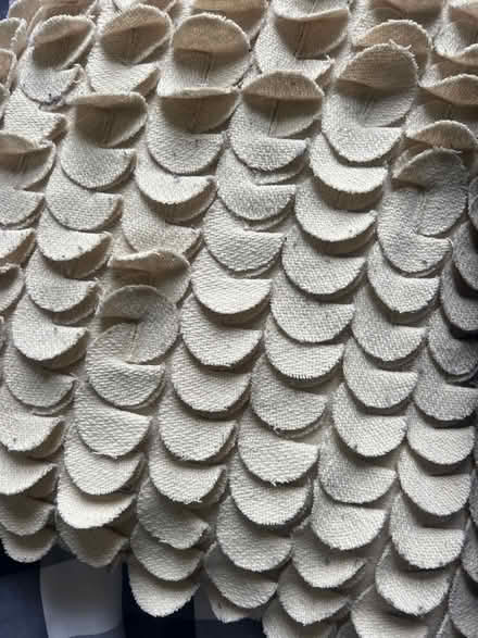 Photo of free 2 cushions (Isleworth TW7) #2