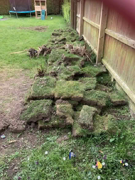Photo of free Turf (Clenchwarton) #1