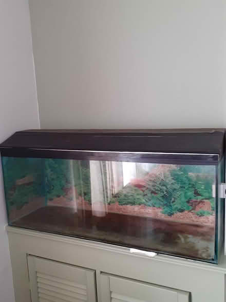 Photo of free Glass aquarium fish tank (Cb24 9nt) #2