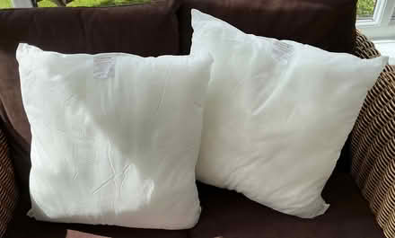 Photo of free Cushion inserts (Brickhill MK41) #1
