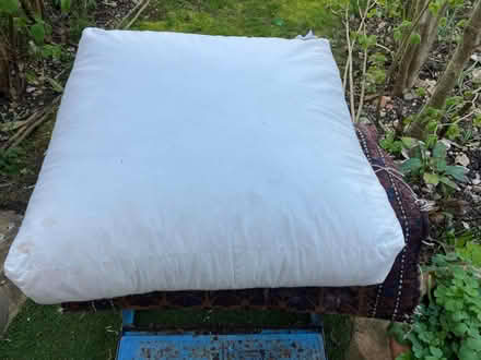 Photo of free Big cushion (Woodstock OX20) #1