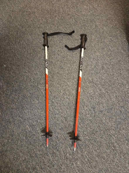 Photo of free Children's ski poles (NW Livonia) #1