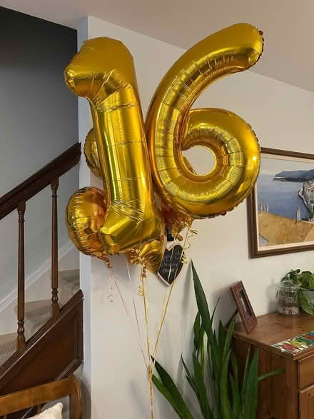 Photo of free Helium balloons (Hintonburg) #1
