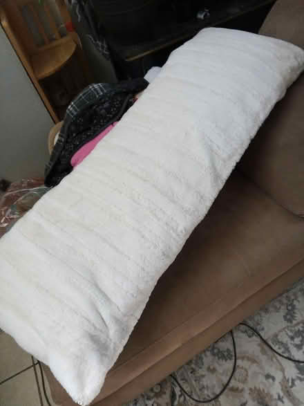 Photo of free 2. Body pillows (Juan Tabo and Central) #2