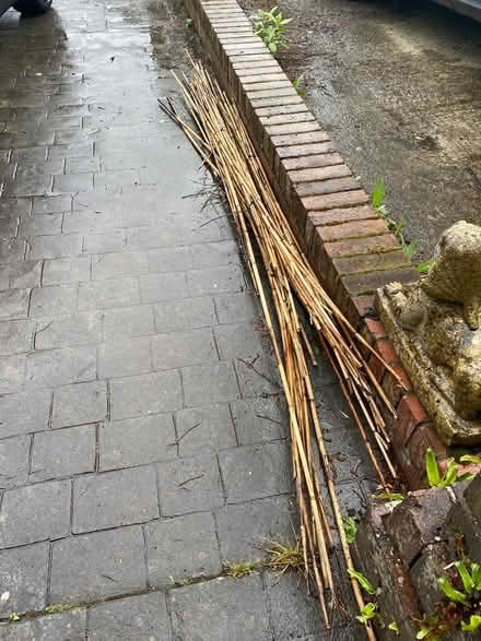 Photo of free Bamboo canes (Rhiwbina, Cardiff CF14) #1