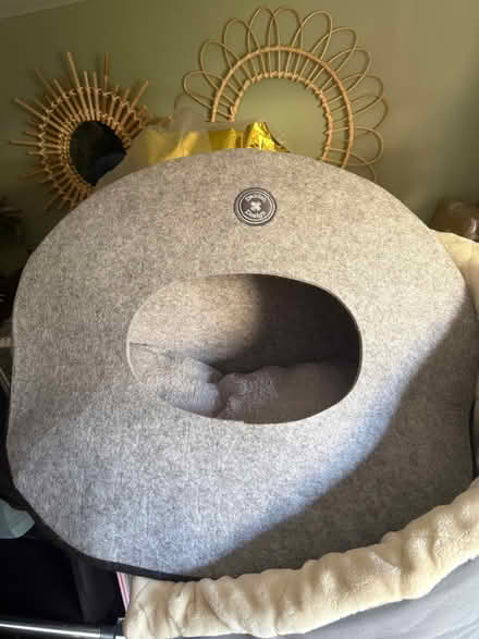 Photo of free Felt cat igloo (Great Wakering SS3) #1