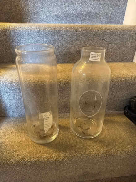 Photo of free 2 terrarium type glass jars (Leighton Buzzard LU7) #1