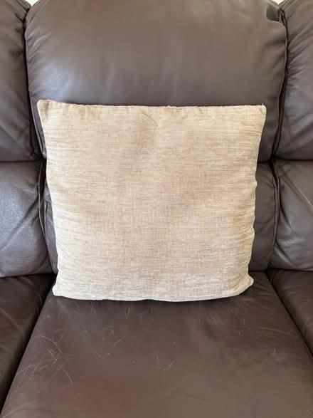 Photo of free Selection of cushions (Taunton Somerset) #3