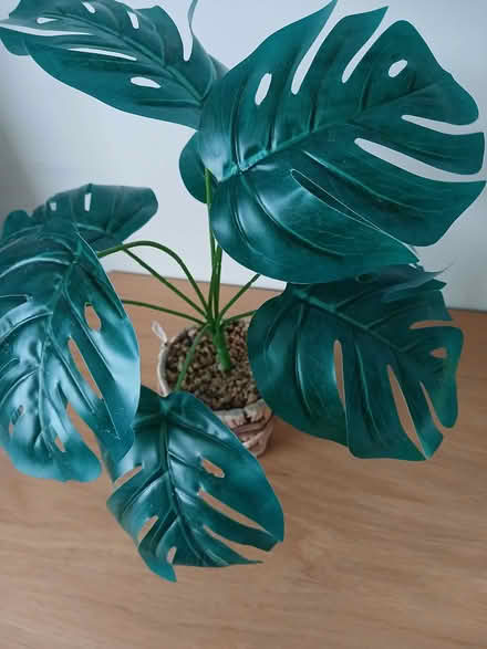 Photo of free Tabke top artificial plant (Waldridge Park DH2) #2