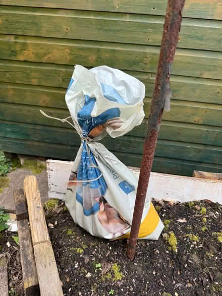 Photo of free Bird feeder stand and feeders (Cheadle Hulme SK8) #4