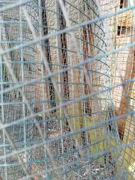 Photo of free A length of fencing (Portchester PO16) #2