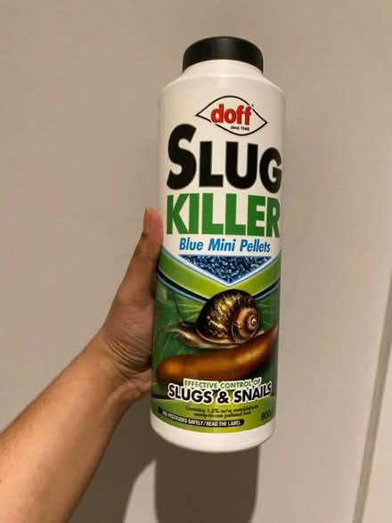 Photo of free Slug killer (W3, Acton) #1