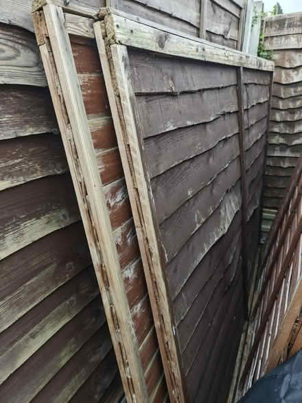Photo of free Fence panels (Cherry Willingham) #1