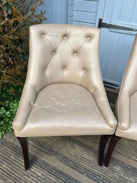Photo of free 6 dining chairs (Tonbridge) #2